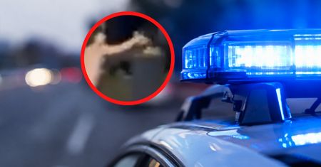 Atak 22-latki na strażnika. Kobieta wyszła ze szpitala
