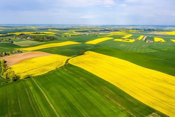 Polskie rolnictwo się zwija? Gospodarstwa coraz mniej opłacalne
