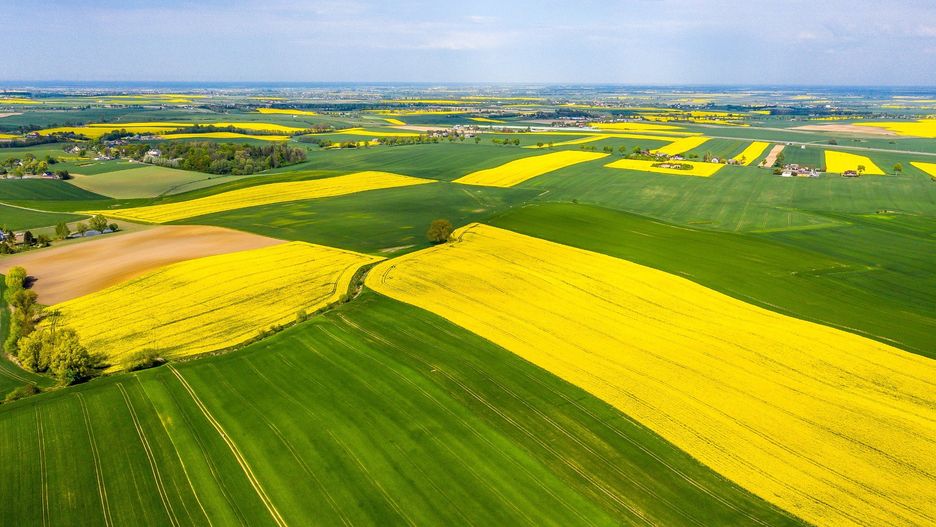 Produkcja rolna w Polsce staje się coraz mniej opłacalna