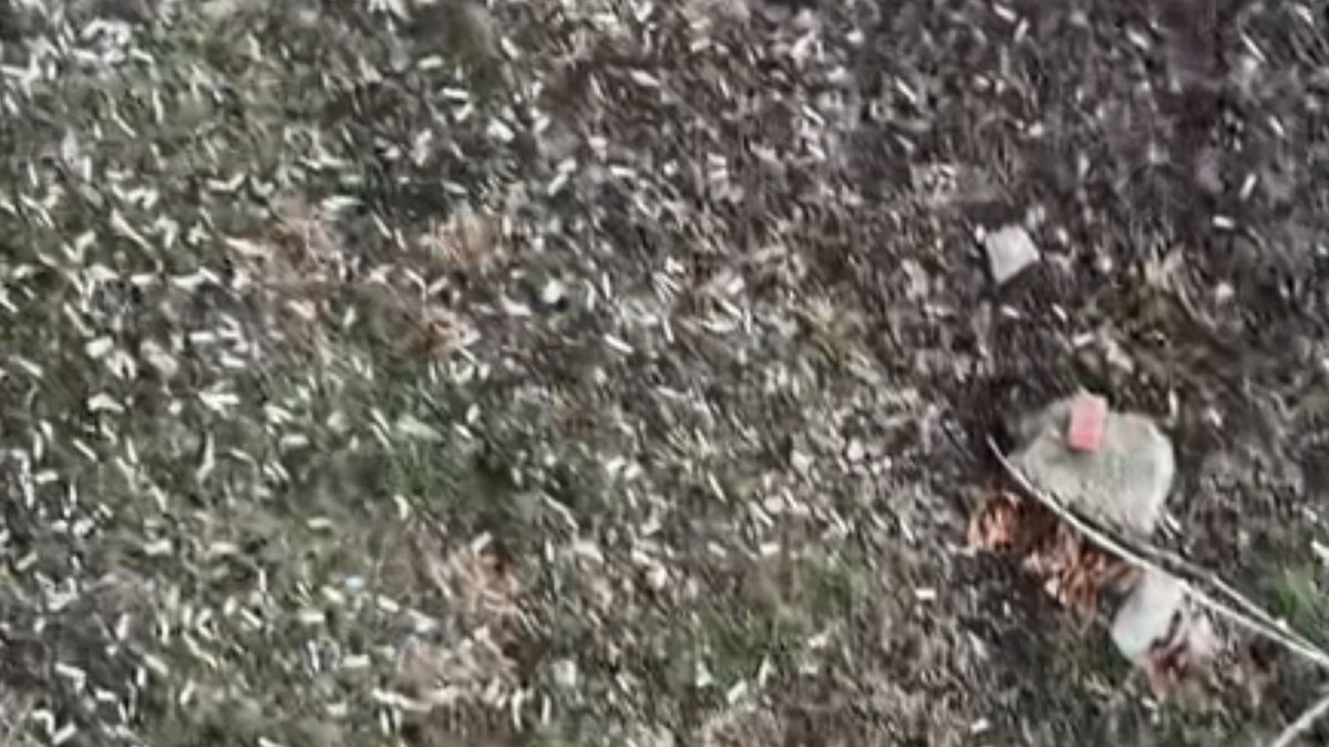 Skandaliczny widok przed oknem.