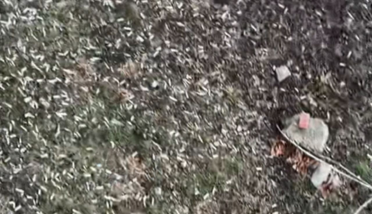 Wyjrzała przez okno. Skandaliczny widok. "Co można zrobić?"