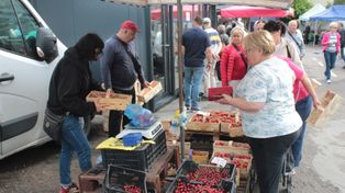 Piątek na targowisku w Koszalinie. Co można znaleźć na stoiskach?
