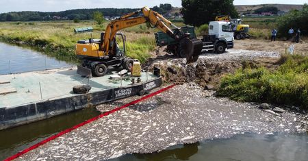 Nowe informacje o Odrze. "Zebrano 10 ton śniętej ryby"