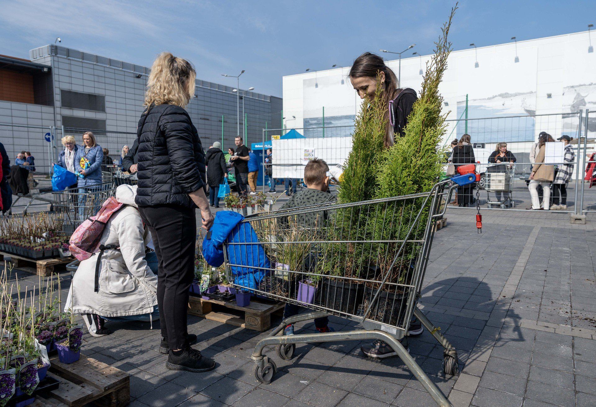 Drzewko za surowce wtórne Gdańsk . Gdańskie ogrody będą wyglądały pięknie, a zużyte sprzęty zyskają nowe życie dzięki recyklingowi
