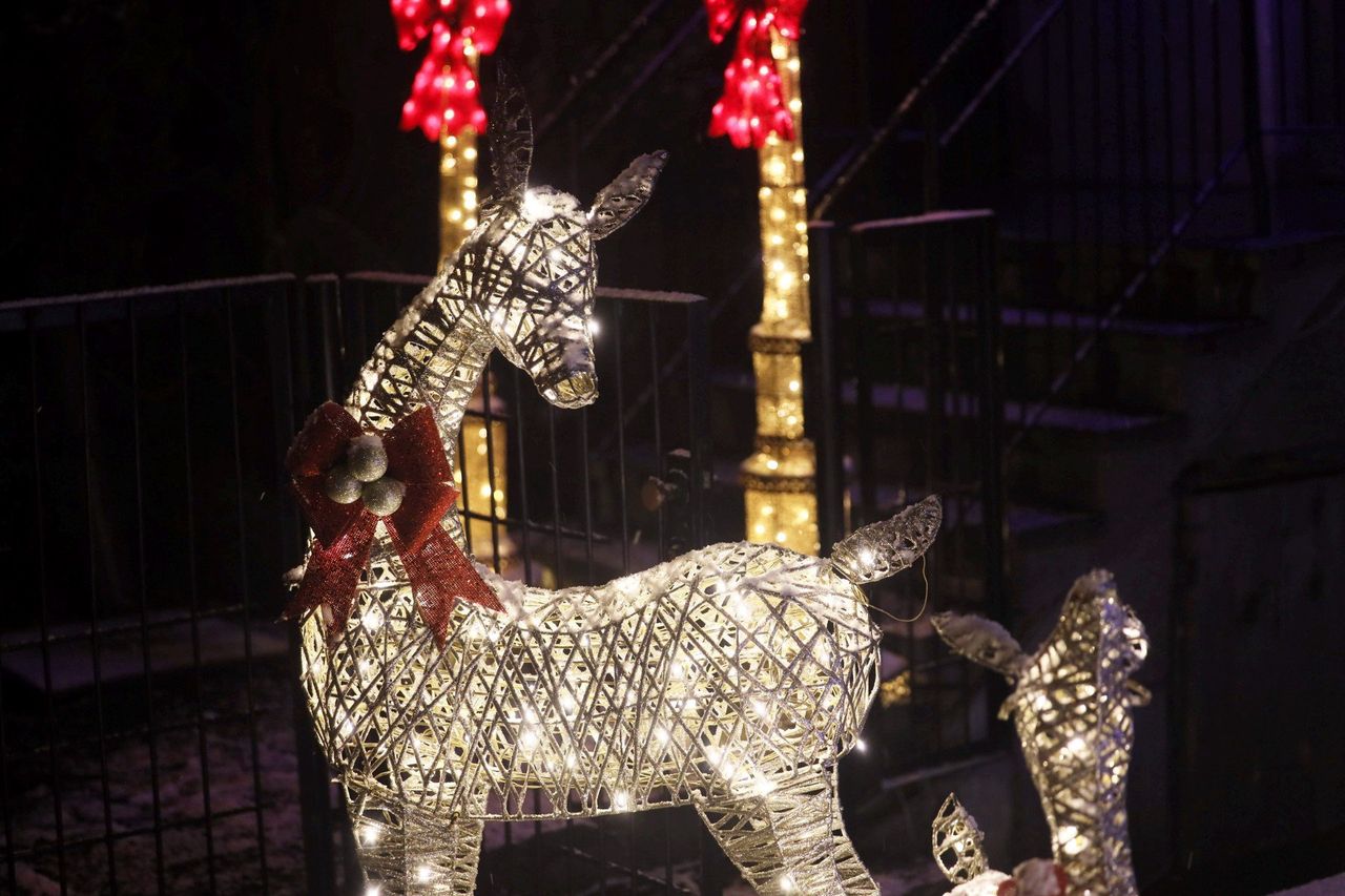 Lublin: Magia świąt na balkonach, posesjach i w oknach. Jak mieszkańcy zamienili codzienność w świąteczną bajkę
