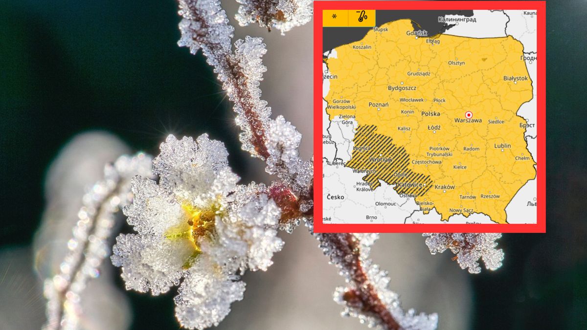 Przymrozki czekają niemal całą Polskę