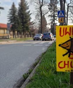 Ogólnopolska akcja "Uwaga jeże". Polanica-Zdrój stawia tabliczki przy drogach
