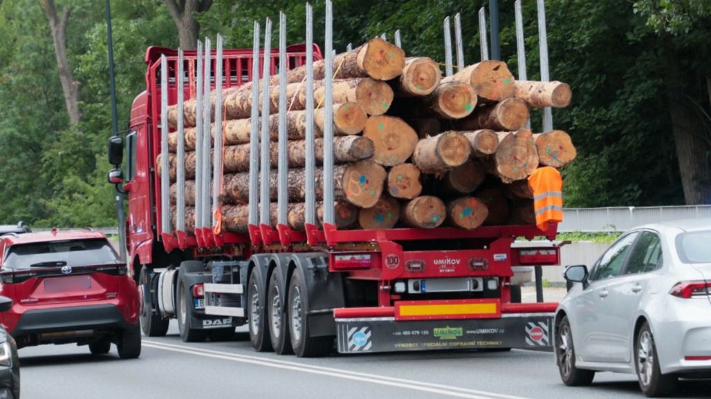 Gwałtowna zmiana. Oto co się stało z eksportem polskiego drewna do Chin
