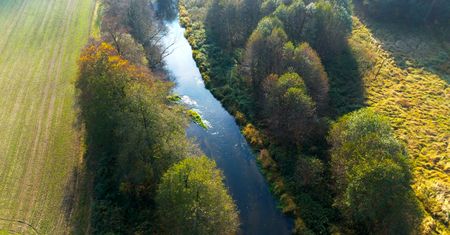 Między Rurzycą a Łomnicą. Przyroda Gminy Szydłowo
