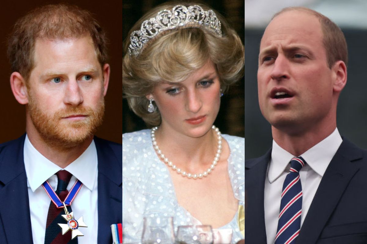 Prince Harry and William clash over Princess Diana's estate