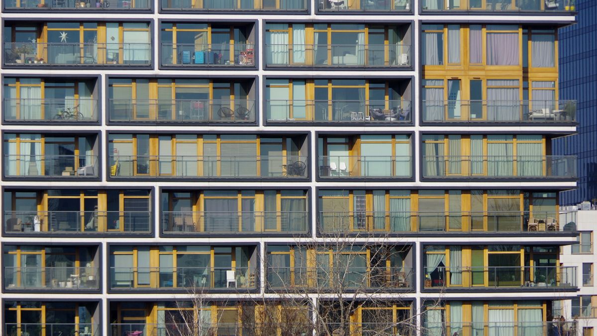 Na balkonach bloków często uprawiane są różnorodne kwiaty, zioła