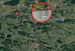 Tragiczny los bocianów po nawałnicy. Młode nie przeżyły
