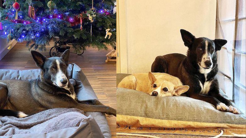 Tak mieszka Szymon Hołownia z rodziną