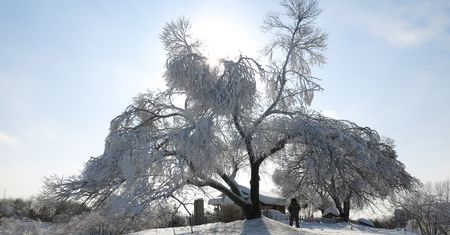 Pogoda. Mroźny luty. Będą dwa ataki zimy