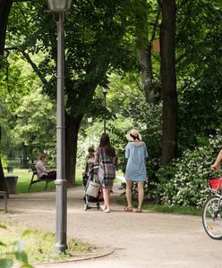 Wrocław. Poszli tłumnie na wybory 2020. W nagrodę otrzymają drzewa