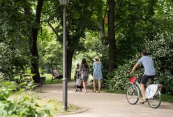 Wrocław. Poszli tłumnie na wybory 2020. W nagrodę otrzymają drzewa