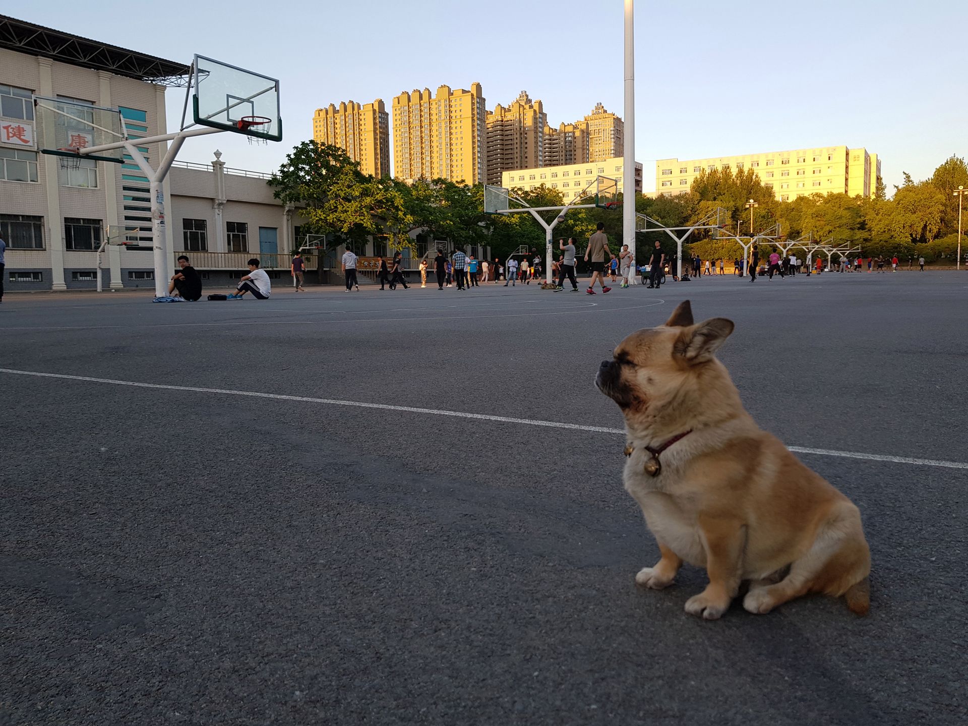 Samsung Galaxy S8+: praktyczny, fotograficzny test aparatu w podróży 148