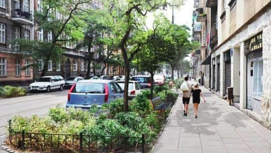Warszawa. Zielona ulica Stalowa. O to walczyli aktywiści, którzy martwili się losem robinii akacjowych, którym szkodził beton