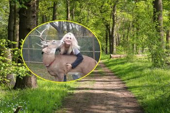 Przez lata opiekowała się zwierzętami. Spotkała ją tragiczna śmierć