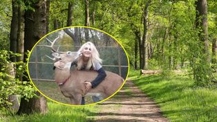 Przez lata opiekowała się zwierzętami. Spotkała ją tragiczna śmierć