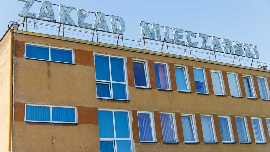 Według danych FAO indeks cen mleka w sierpniu 2025 roku wyniósł 152,6 pkt - o 1,3 proc. mniej niż w lipcu, ale aż o 16,2 proc. więcej niż rok wcześniej.