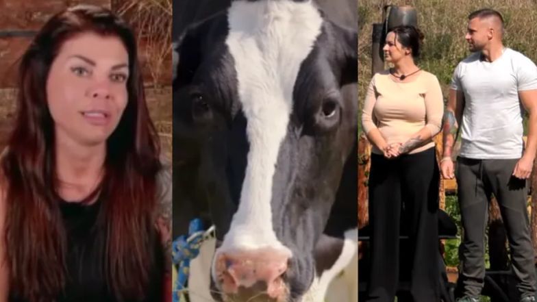 "Farma" debiutuje na antenie. Kto się odnajdzie w nowych warunkach? 