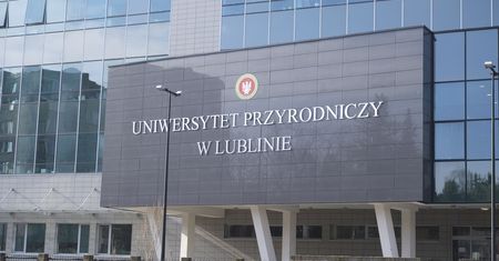 Studentka ukradła szczeniaki należące do uczelni. Po kilku dniach psy zwrócono, 22-latka usłyszała zarzuty
