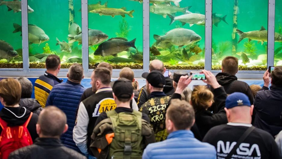 Ogromne akwarium znów stanęło na terenie MTP. 