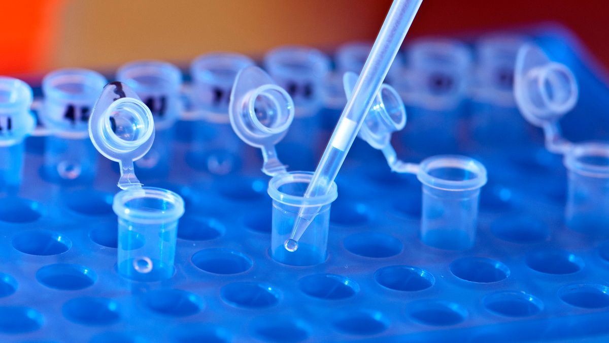 Wirus cytomegalii (CMV) bytuje w organizmie człowieka i uaktywnia się, gdy słabnie odporność organizmu gospodarza