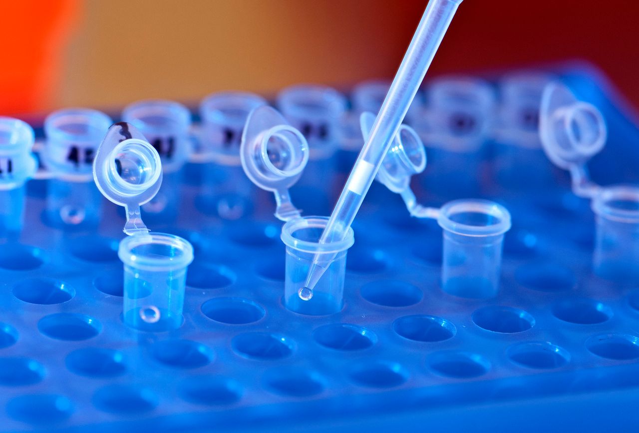 Cytomegalia - przyczyny, objawy, leczenie. Cytomegalia w ciąży