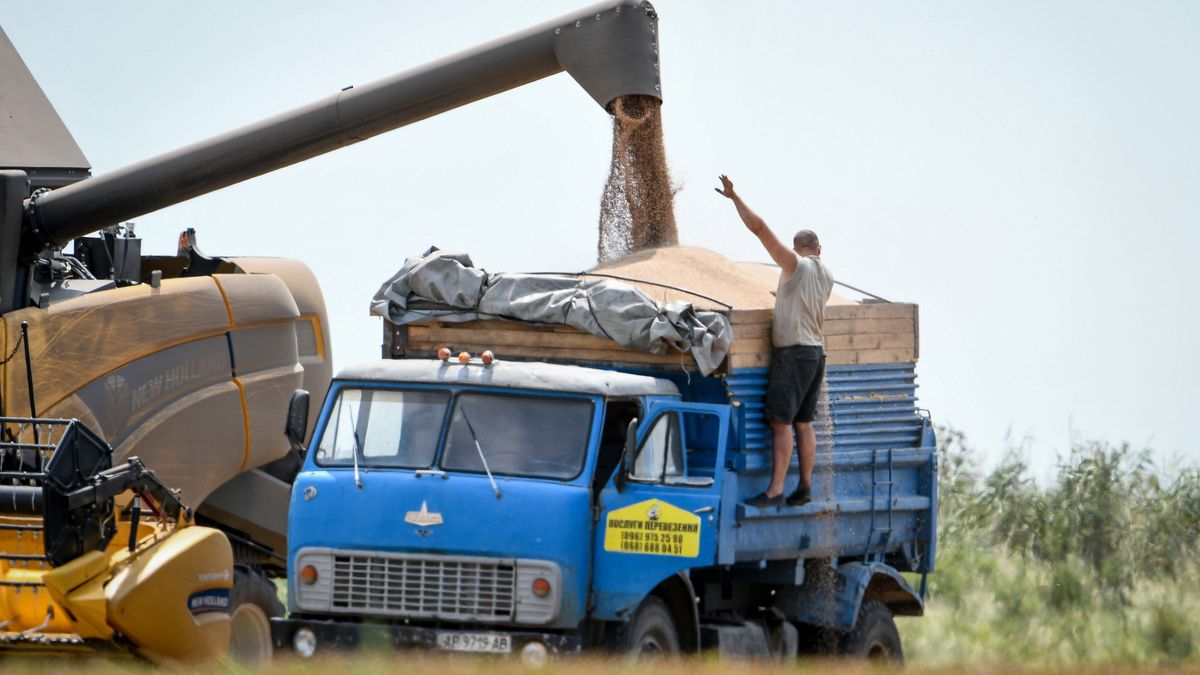 Zbiór zbóż w obwodzie zaporoskim w 2021 roku