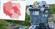 Nowy raport. Mamy problem ze śmieciami, co widać w cenach