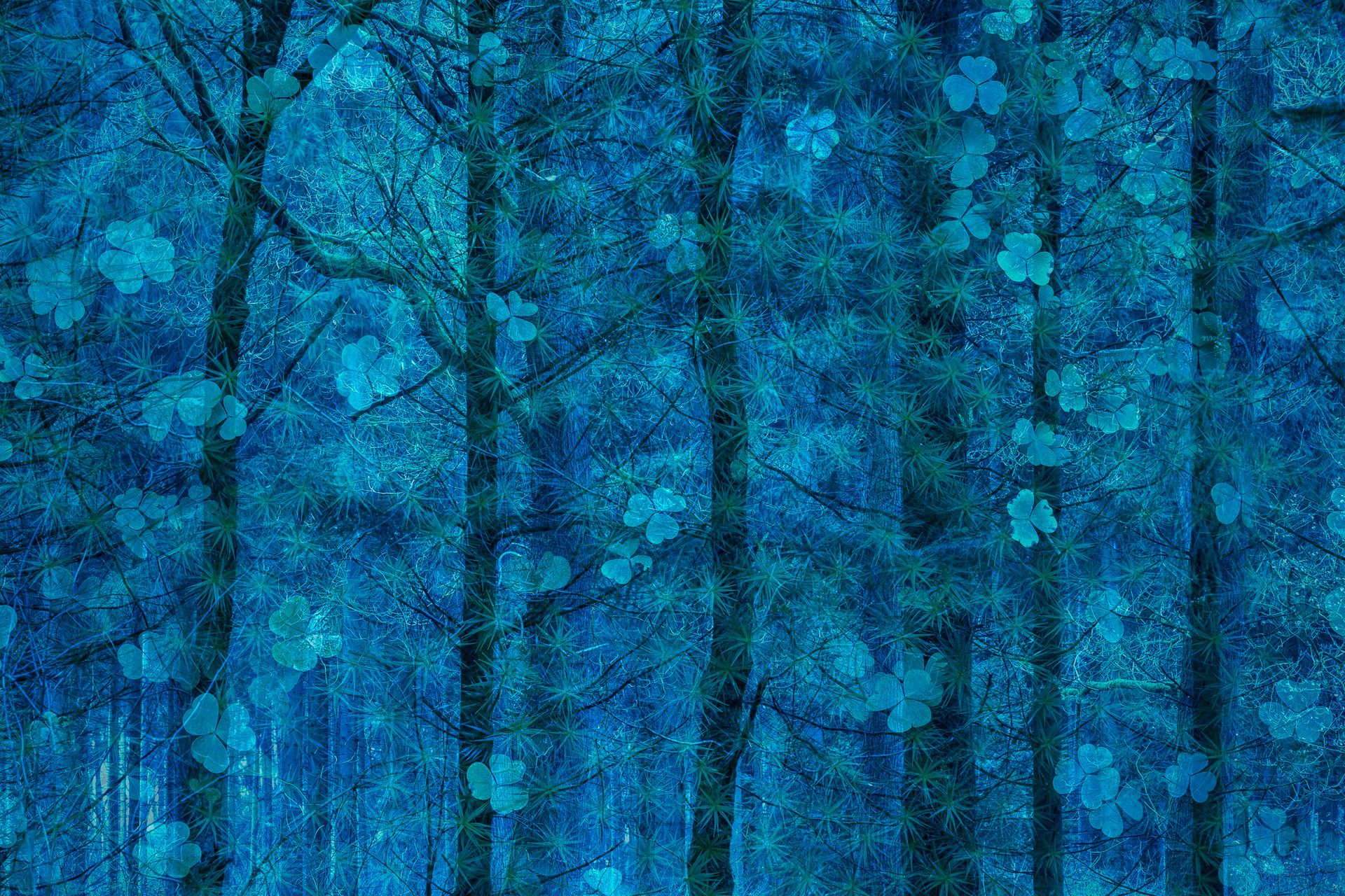 Nature Photographer of the Year 2019: Najpiękniejsze zdjęcia przyrody wybrane 8