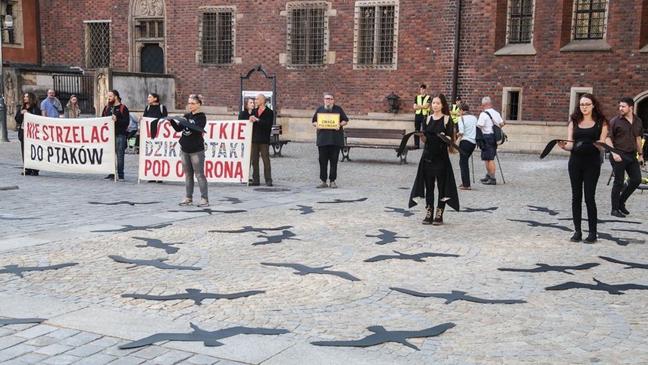 Wrocław. "Zatrzymajmy rzeź ptaków! #NiechLecą!" Protest w Rynku