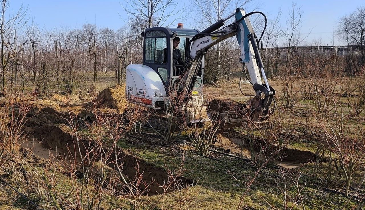 Zaczęli kopać. Takie odkrycie w sadzie. "Szacun"
