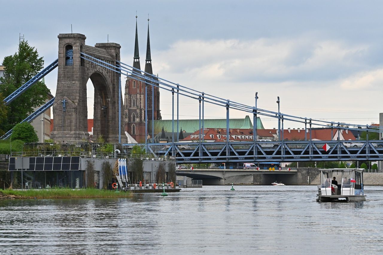 Dni Odry we Wrocławiu. Pokaz karmienia wydr i nauka pływania w syreniej płetwie. Co jeszcze będzie się działo?