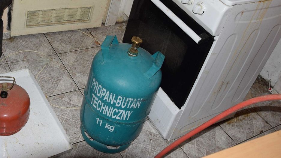 Fot. Licencjodawca