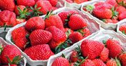 Oszustwa cenowe na truskawkach. Od tygodnia na rynkach dostępne są polskie owoce