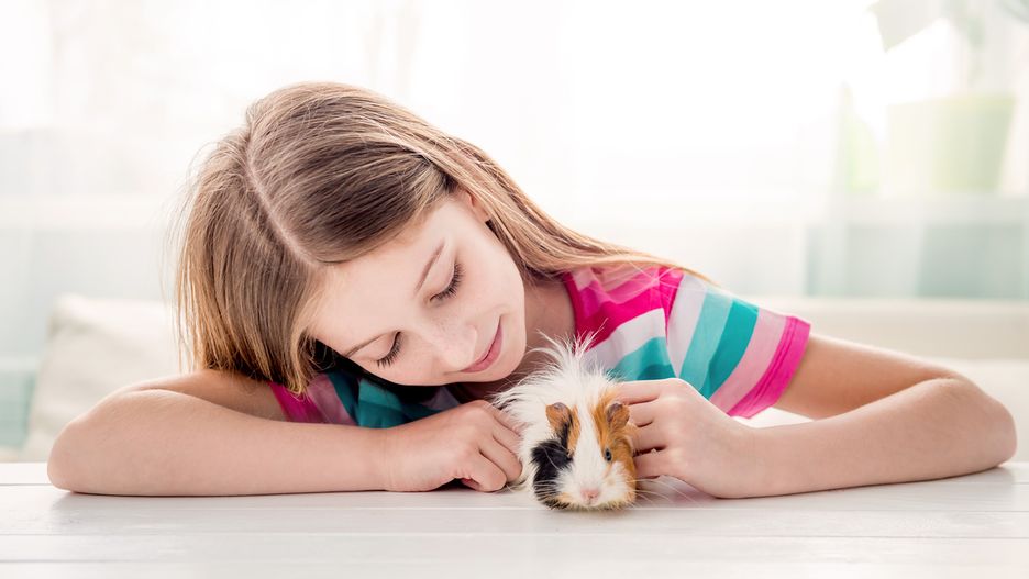 Małe zwierzęta domowe. Kupuj z głową!