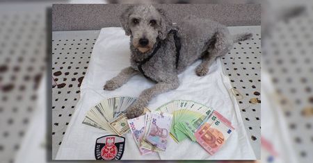 Nielegalny przewóz gotówki. KAS ujawnia przypadki na granicach Lubelszczyzny