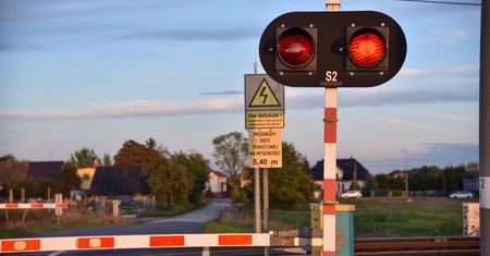 "Najdroższe zdjęcie w życiu". Wyczyny mógł zakończyć się tragedią