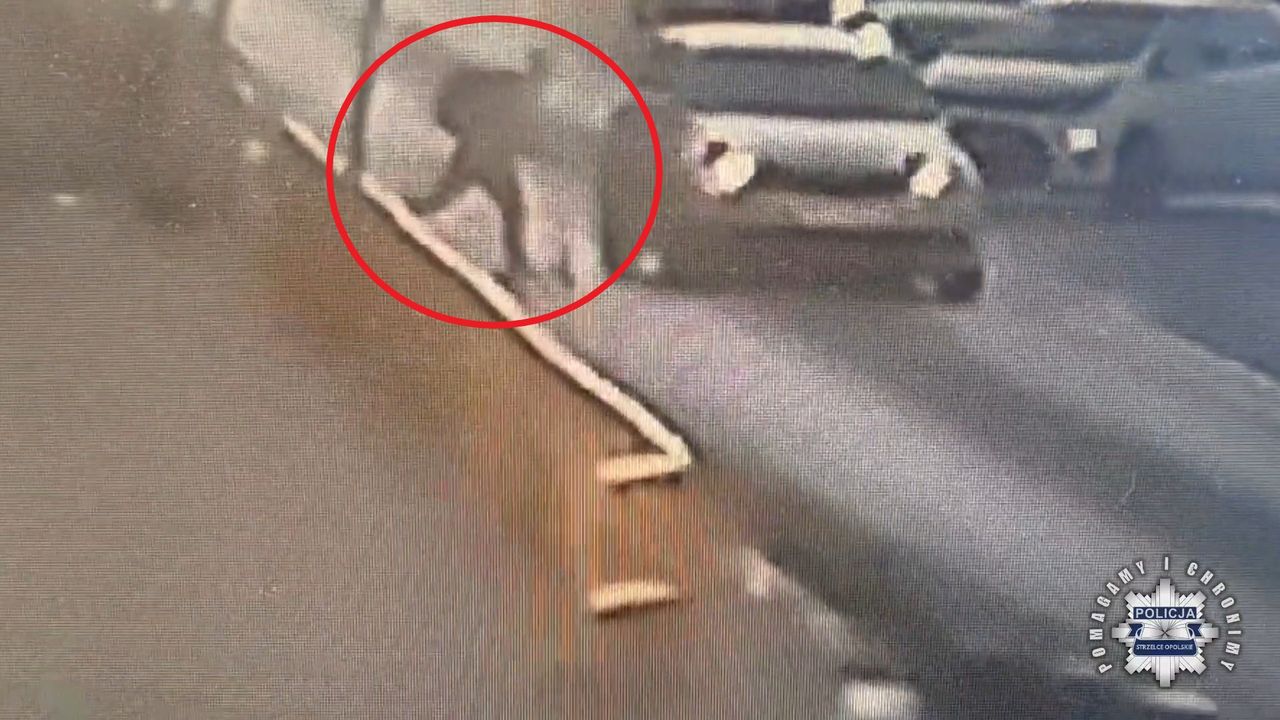 Wjechał hulajnogą w auto. Policja: "Każdy rodzic powinien zobaczyć"