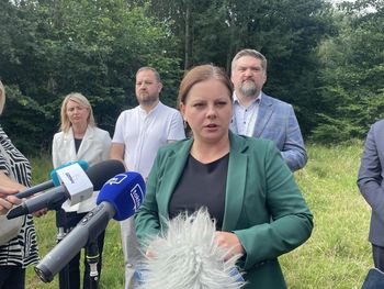 Gdynia: Mieszkańcy ocalili las Oksywia? Prezydent rozpatrzyła petycję