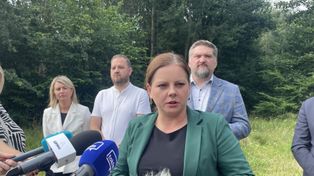 Gdynia: Mieszkańcy ocalili las Oksywia? Prezydent rozpatrzyła petycję