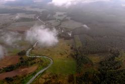 Dolina Baryczy. Zatruta rzeka. W śmierdzącej wodzie ryby pływają brzuchami do góry