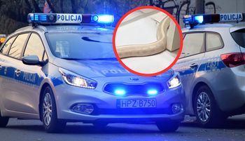 "Umarłabym". Taki widok w łazience. Aż wezwał policję