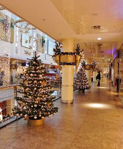 Boże Narodzenie 2023. Które sklepy będą otwarte 25 i 26 grudnia?