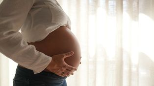 Zapominalskie przyszłe matki. Naukowcy: to estrogen przeprogramowuje mózg