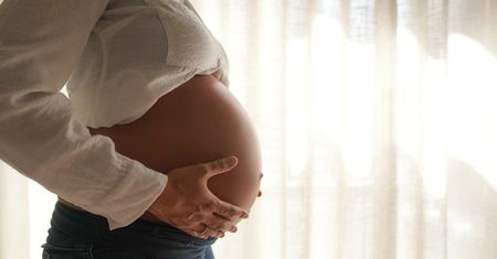 Zapominalskie przyszłe matki. Naukowcy: to estrogen przeprogramowuje mózg