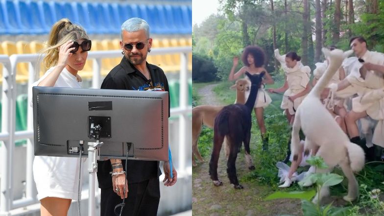 Widzowie "Top Mode" oburzeni wykorzystaniem alpak do sesji